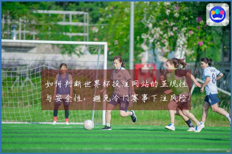 如何判断世界杯投注网站的正规性与安全性,避免冷门赛事下注风险